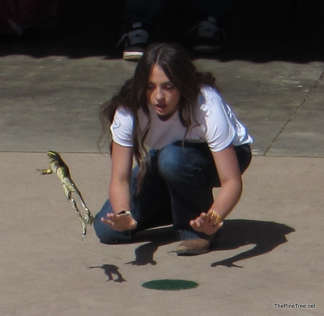 FrogJump26 (25)
