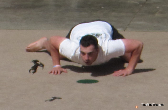 FrogJump26 (29)