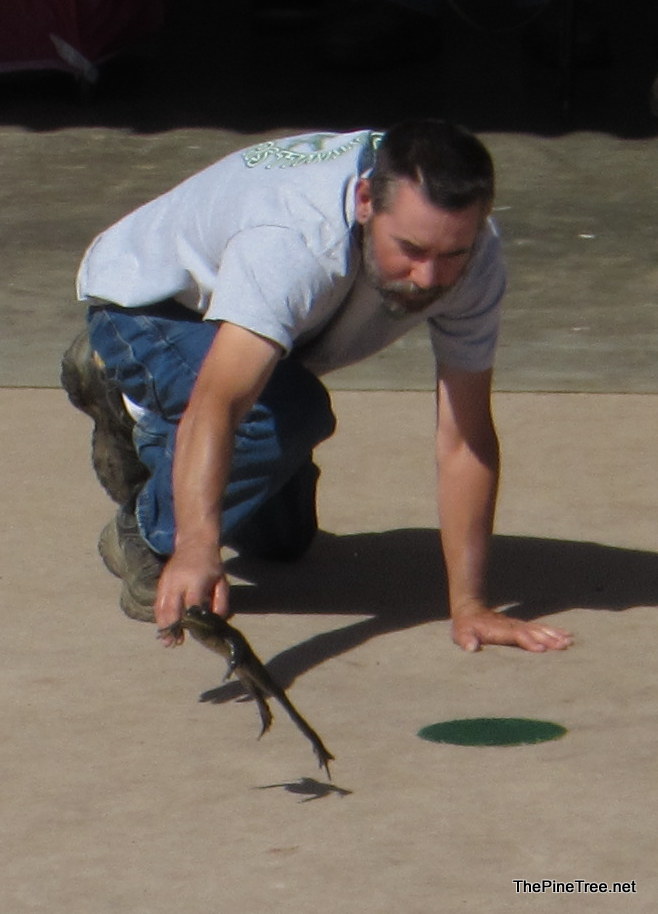 FrogJump26 (37)