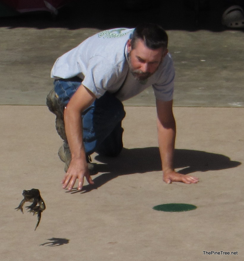 FrogJump26 (38)
