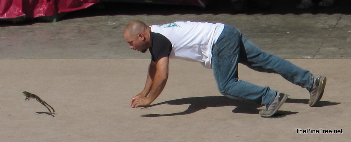 FrogJump26 (42)