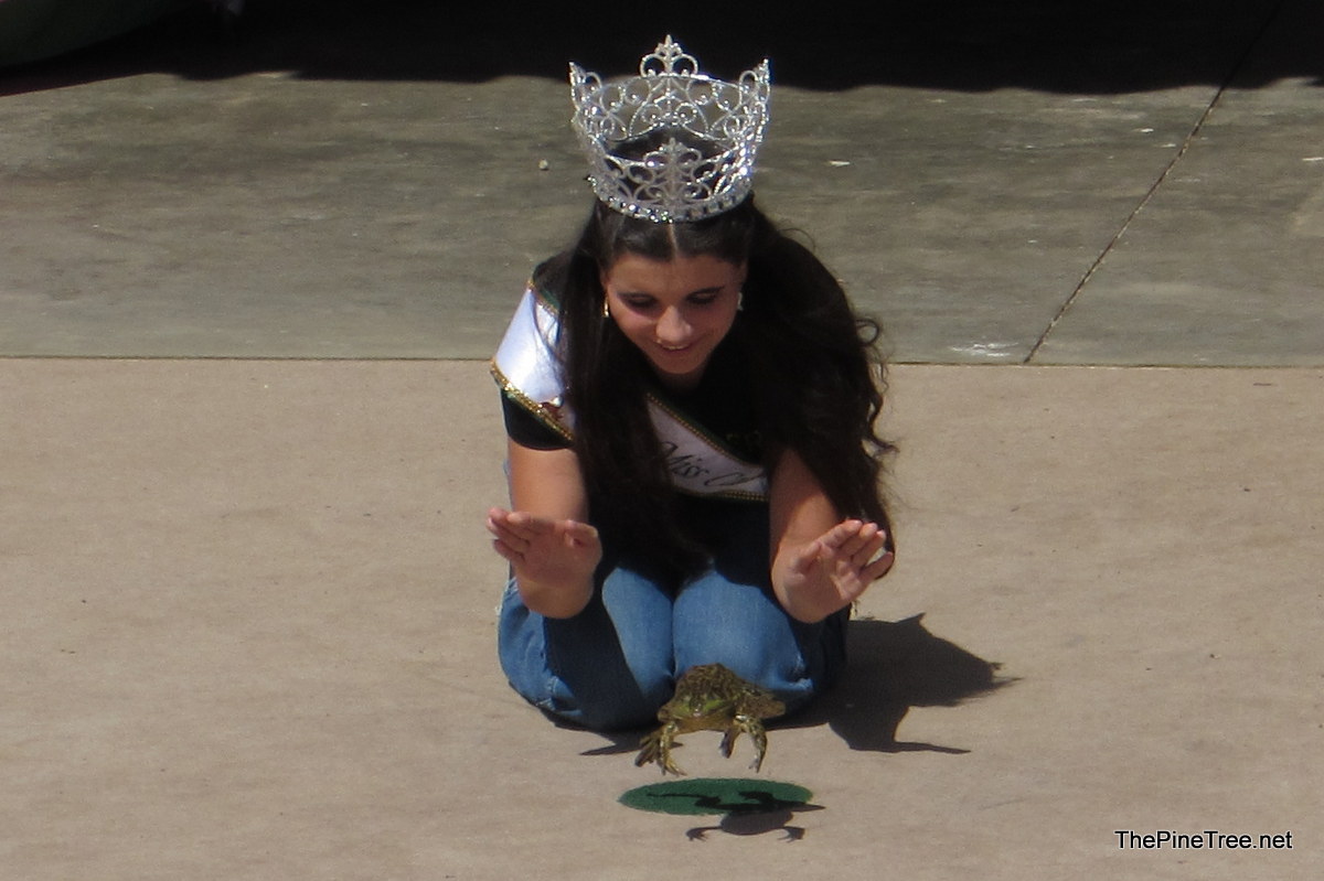 FrogJump26 (6)