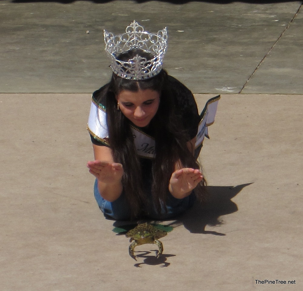FrogJump26 (7)