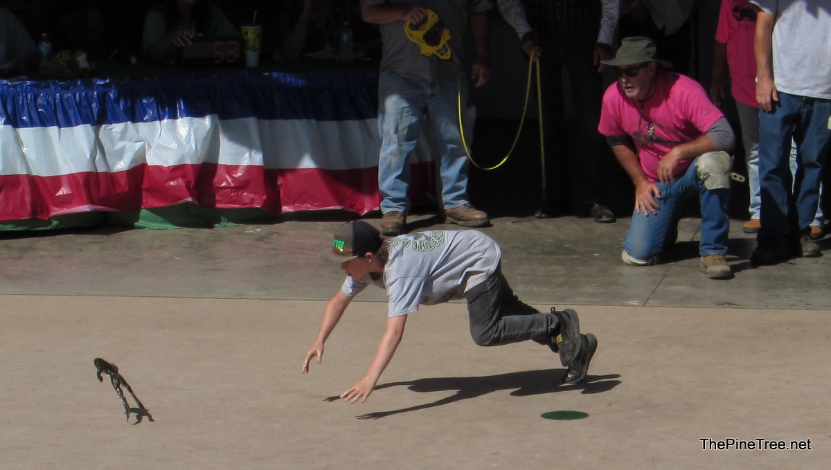 FrogJump26 (72)