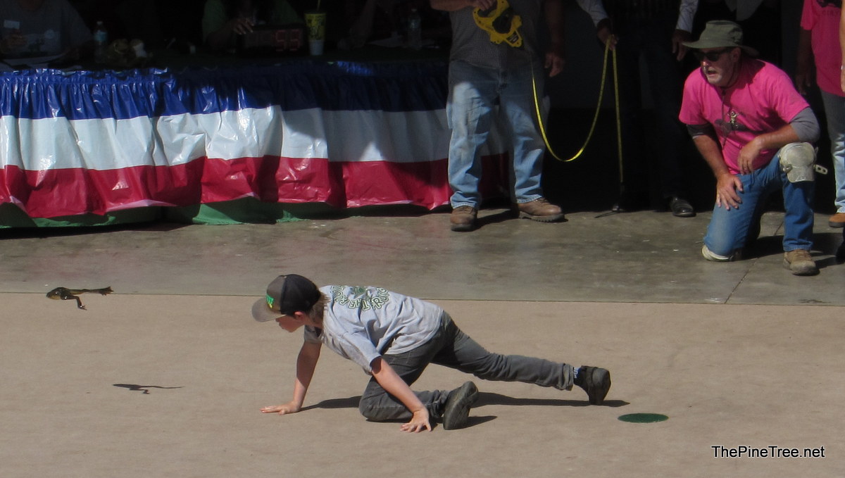 FrogJump26 (73)