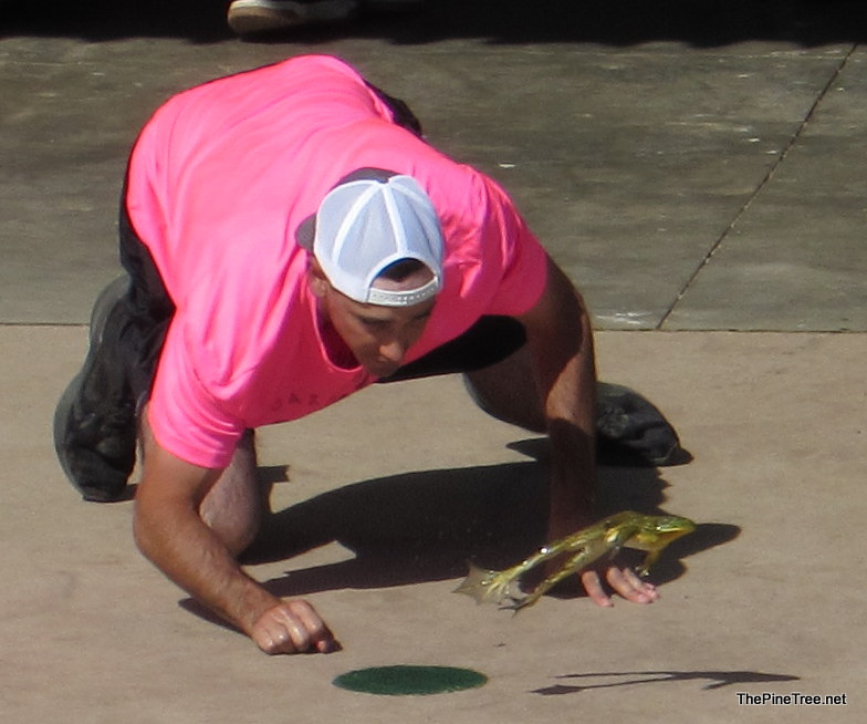 FrogJump26 (81)
