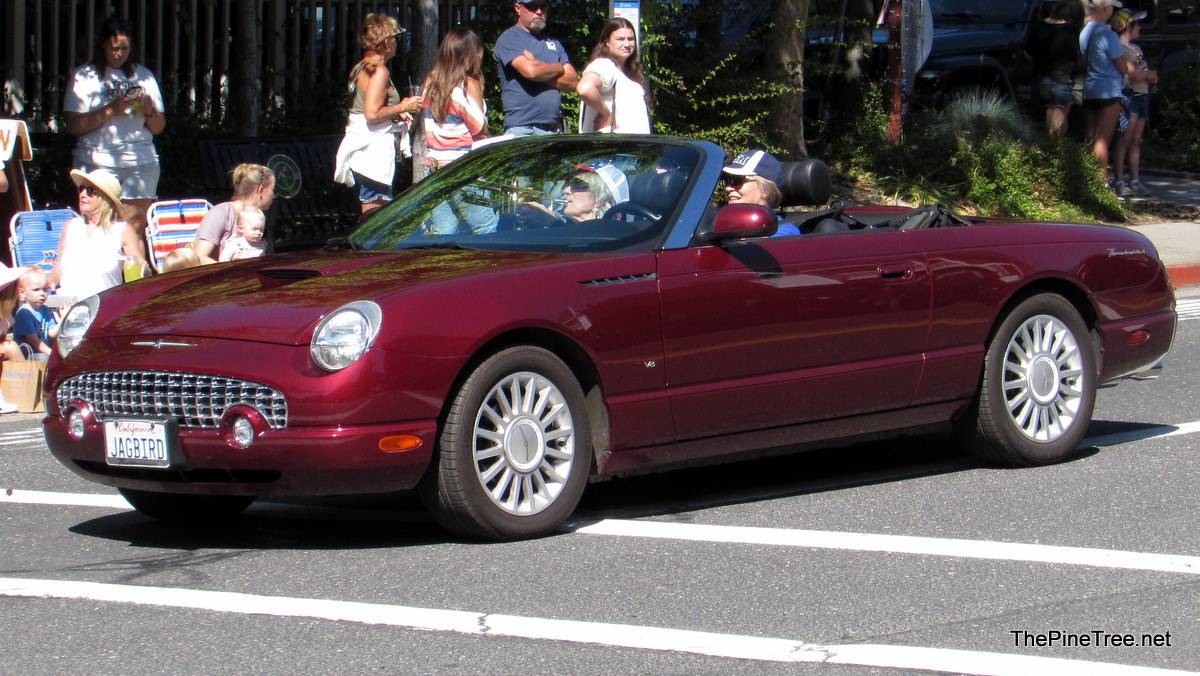 FrogJumpParade26 (1)