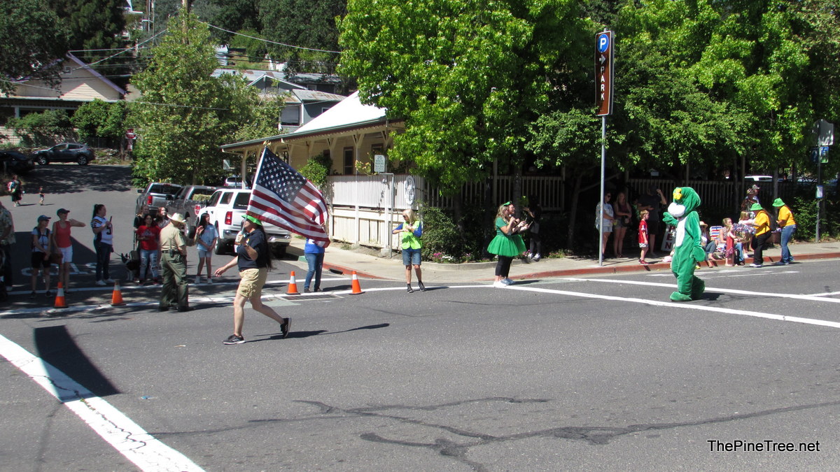 FrogJumpParade26 (101)