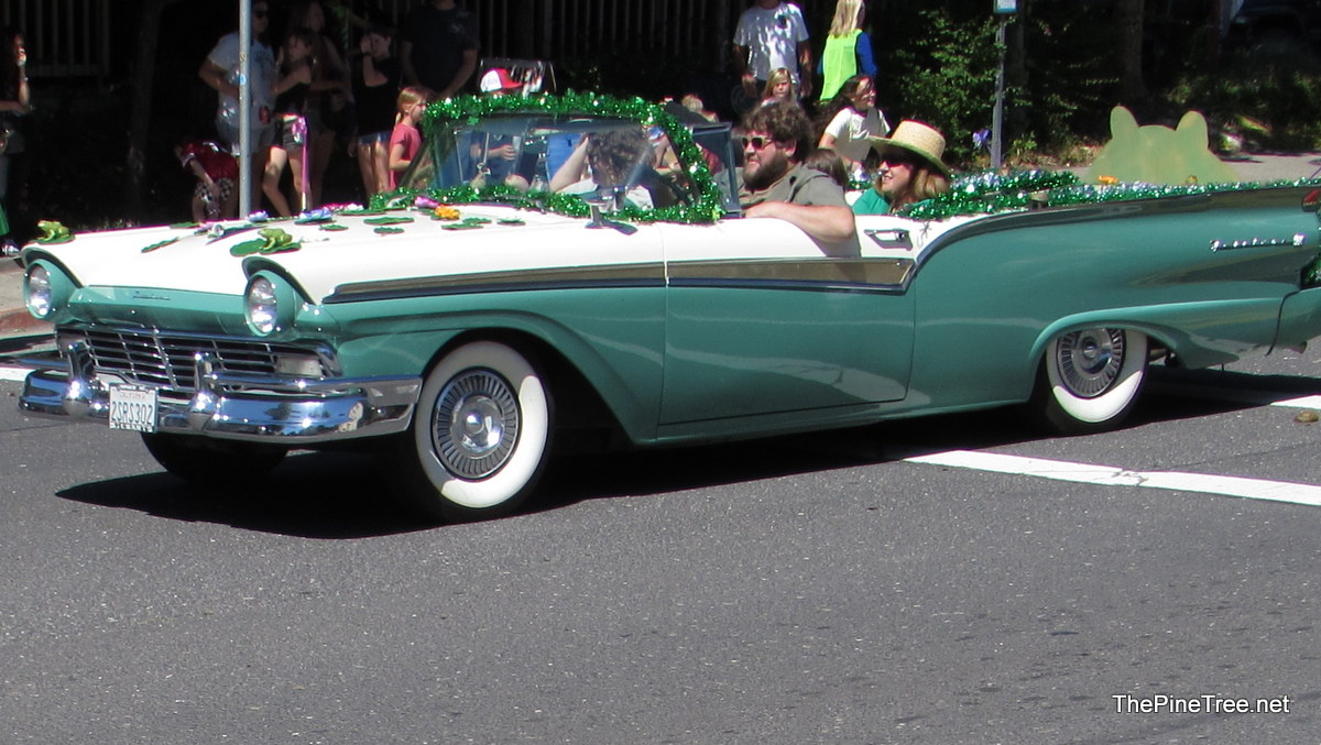 FrogJumpParade26 (103)