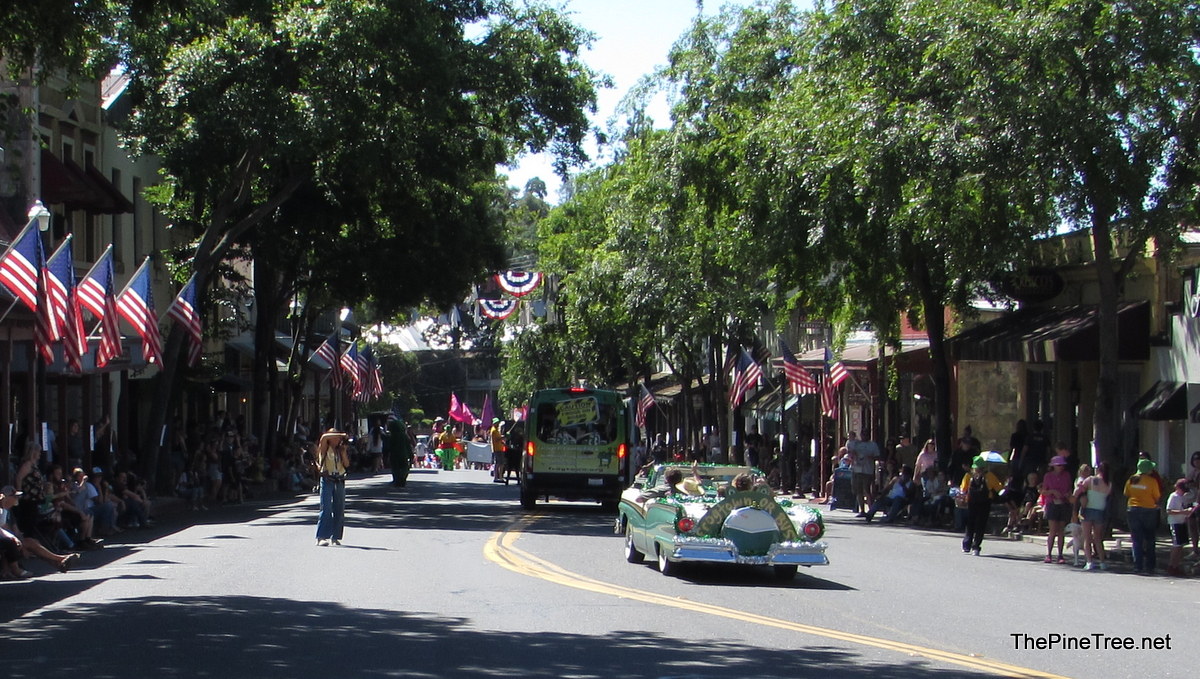 FrogJumpParade26 (105)