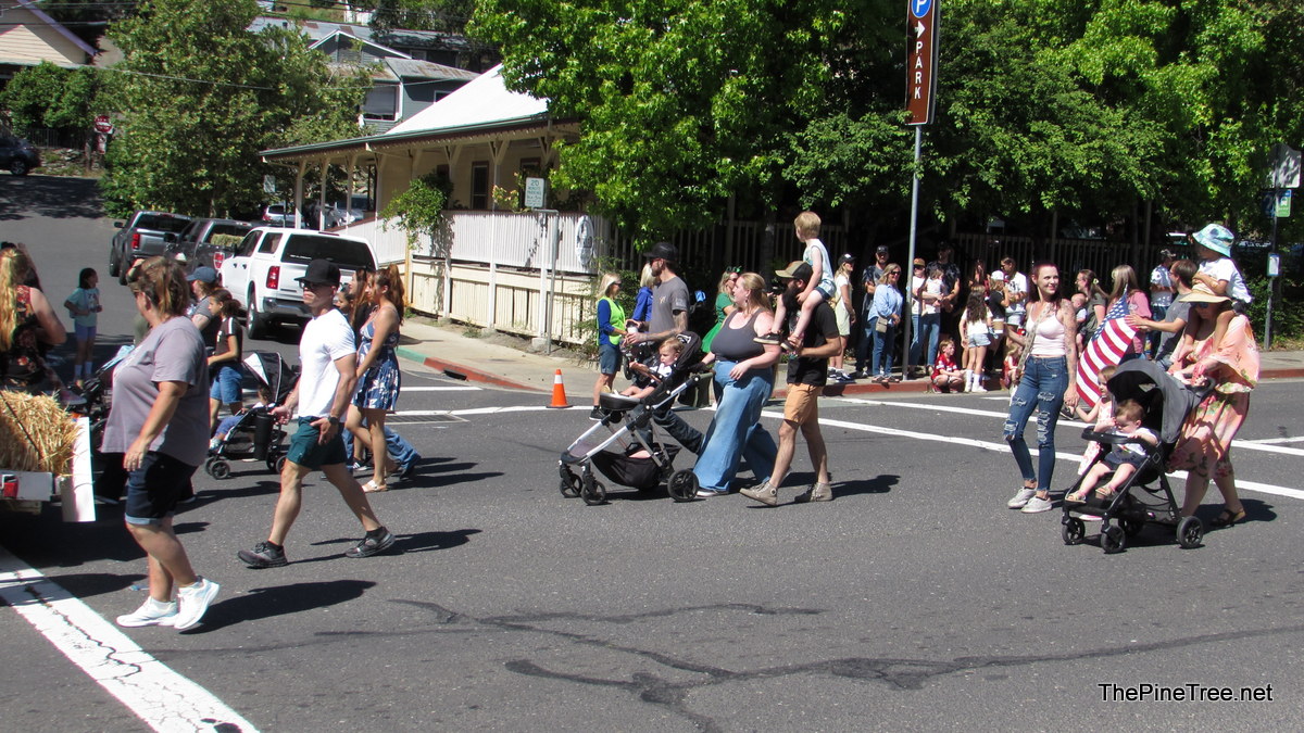 FrogJumpParade26 (43)