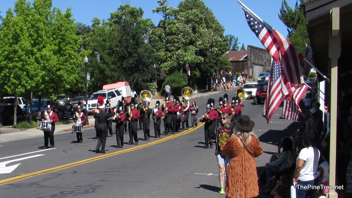 FrogJumpParade26 (50)