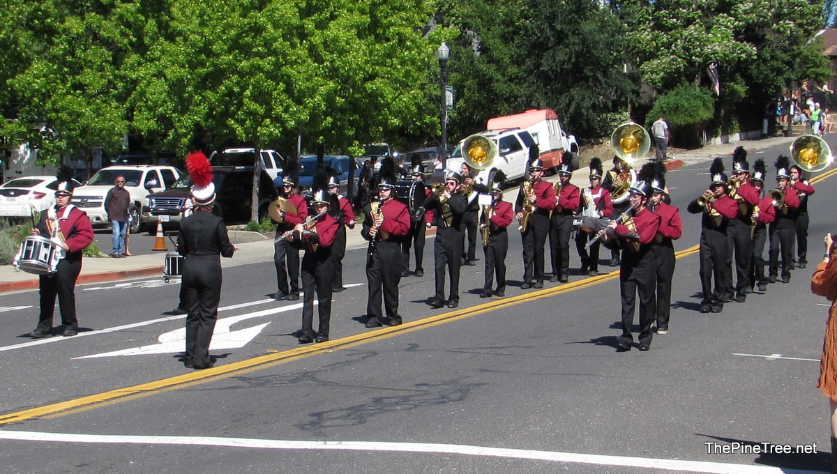 FrogJumpParade26 (51)