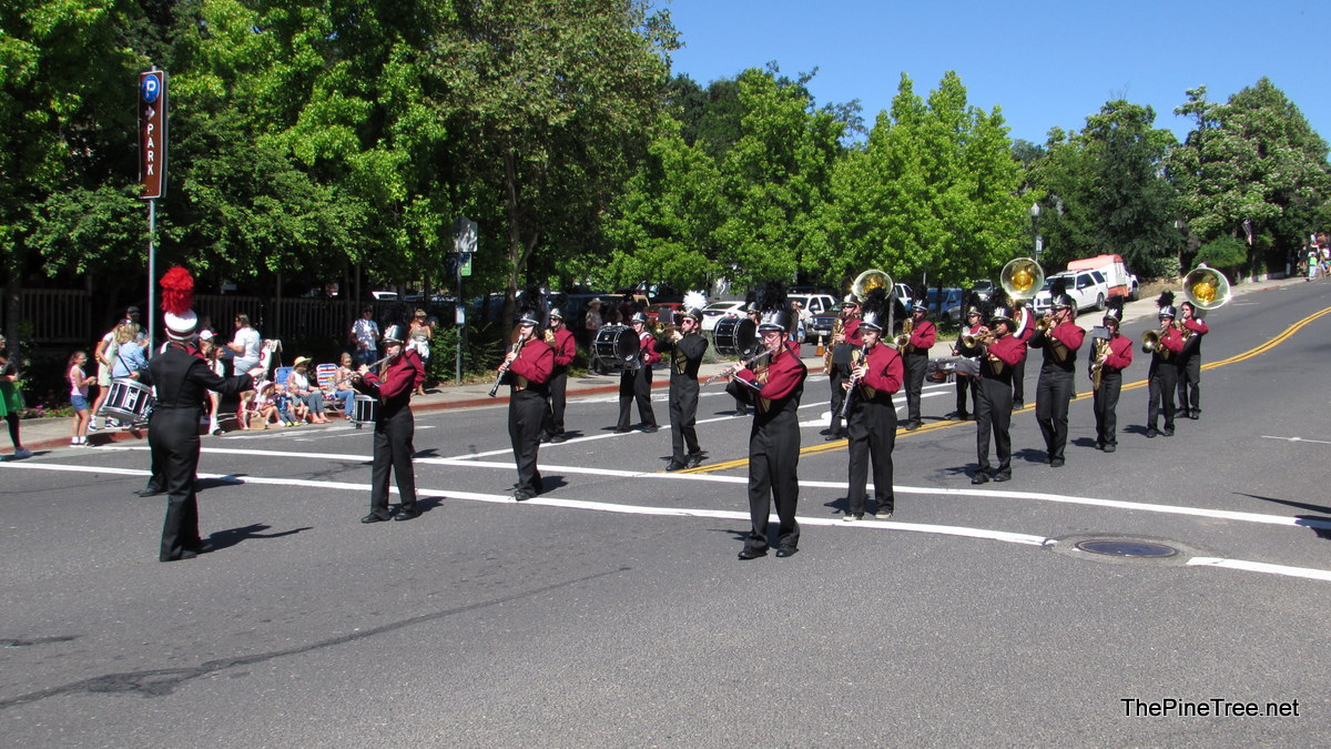 FrogJumpParade26 (52)