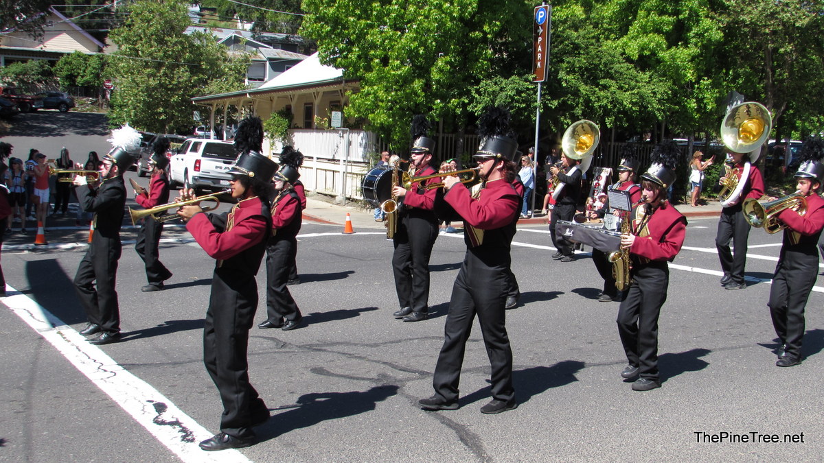 FrogJumpParade26 (53)