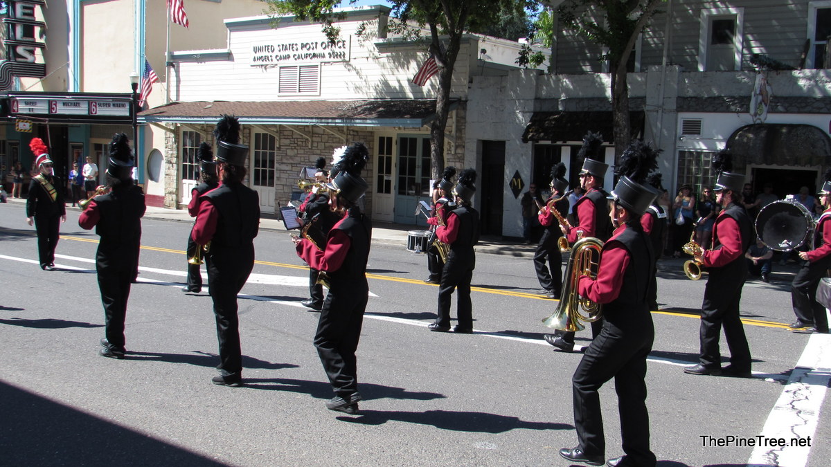 FrogJumpParade26 (55)