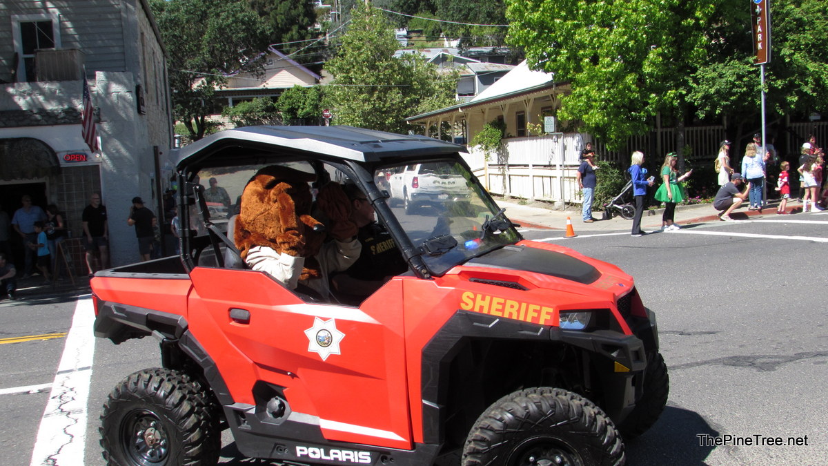 FrogJumpParade26 (57)