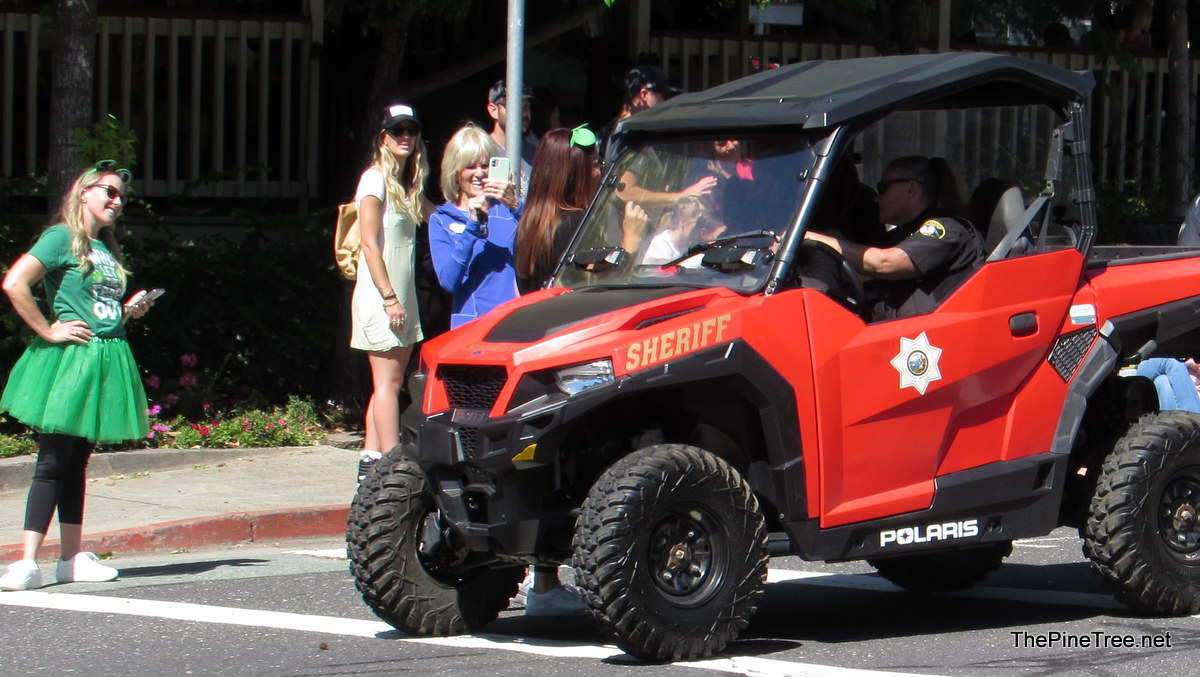 FrogJumpParade26 (58)