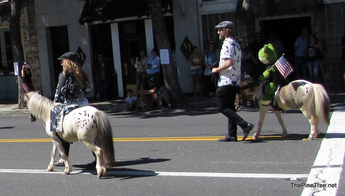 FrogJumpParade26 (84)