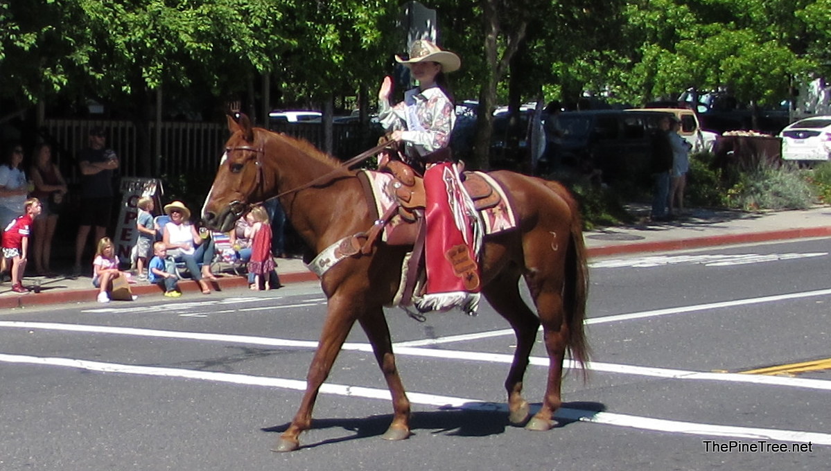 FrogJumpParade26 (85)