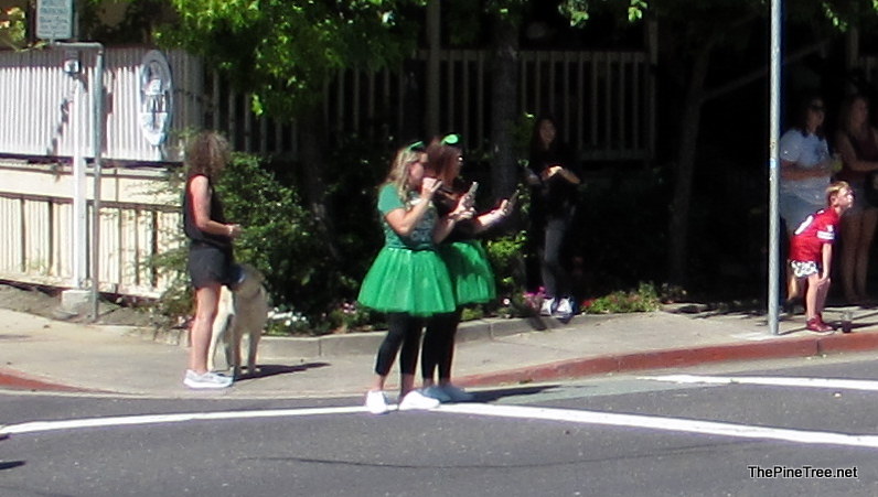 FrogJumpParade26 (86)