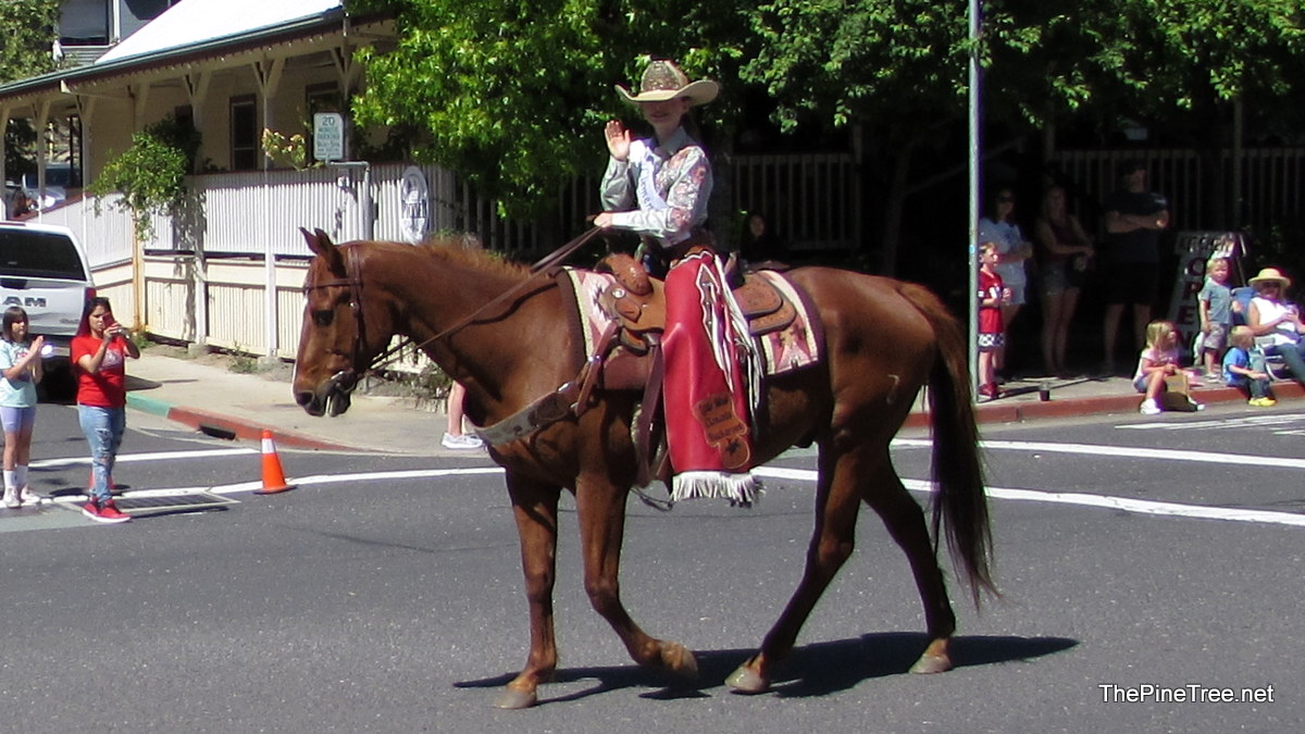 FrogJumpParade26 (87)