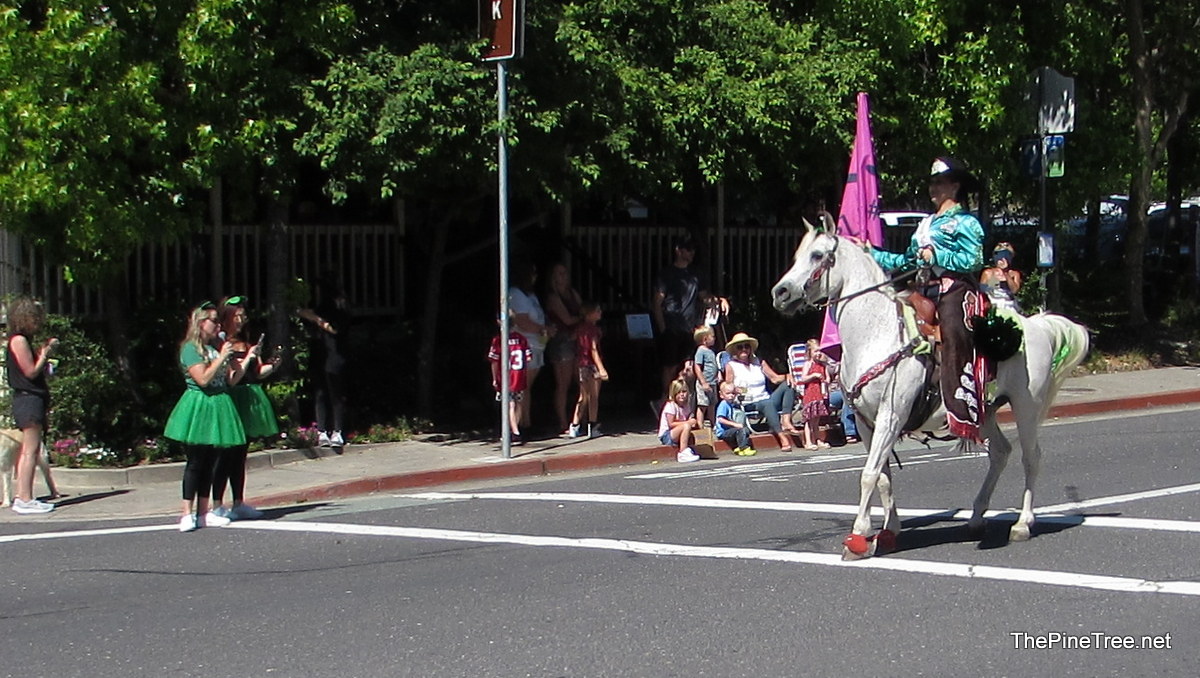 FrogJumpParade26 (88)