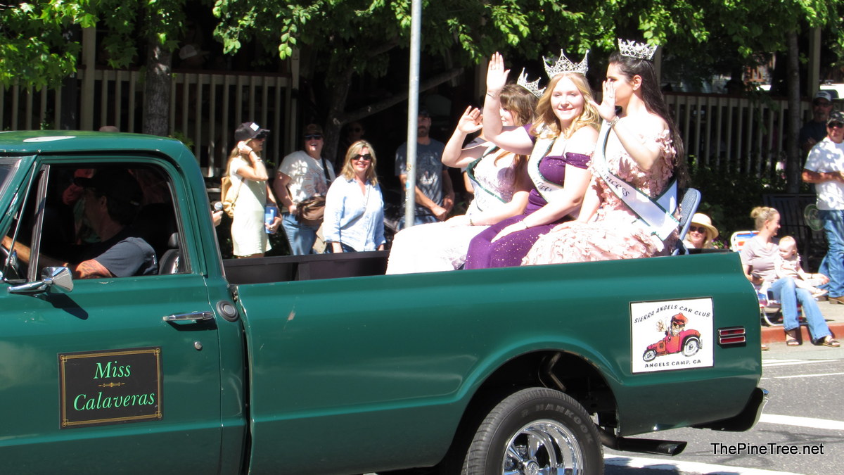 FrogJumpParade26 (9)