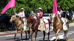 The 2026 Frog Jump Youth Parade!  Over 100 Photos & Full Video