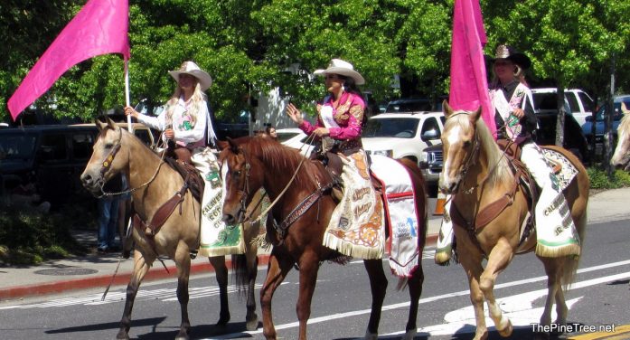 The 2026 Frog Jump Youth Parade!  Over 100 Photos & Full Video