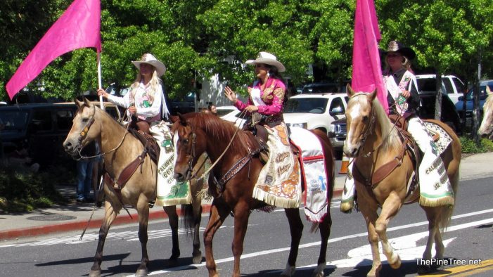 The 2026 Frog Jump Youth Parade!  Over 100 Photos & Full Video