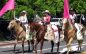 The 2026 Frog Jump Youth Parade!  Over 100 Photos & Full Video