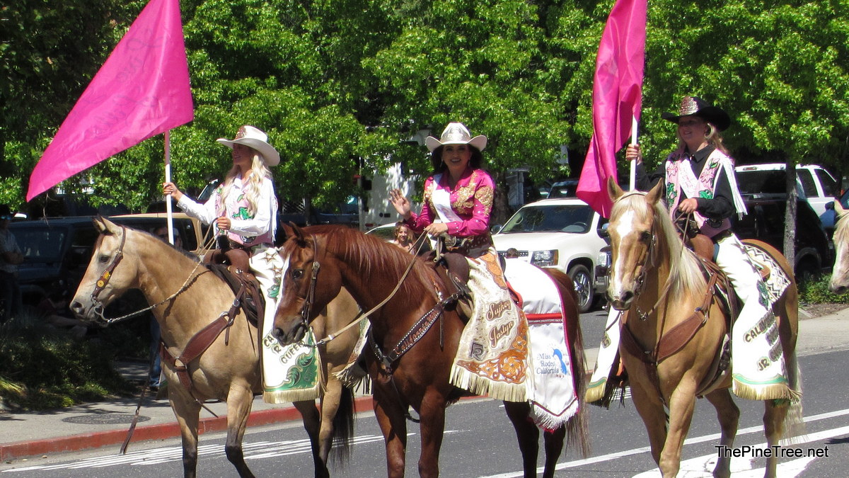 FrogJumpParade26 (91)