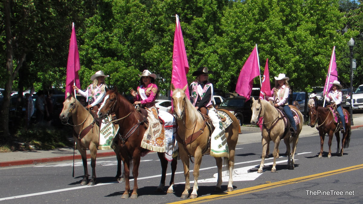 FrogJumpParade26 (93)