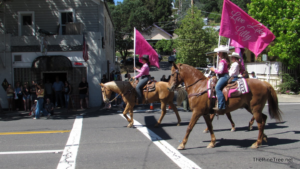 FrogJumpParade26 (97)