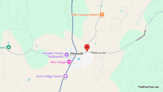 Traffic & Bovine Update….Black Angus in Roadway Near Shenandoah Rd / Fiddletown Rd
