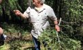 Aronld Rim Trail : Tree Identifier Walks with Mary Anne Carlton