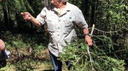 Aronld Rim Trail : Tree Identifier Walks with Mary Anne Carlton