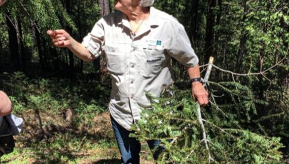 Aronld Rim Trail : Tree Identifier Walks with Mary Anne Carlton