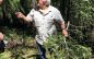 Aronld Rim Trail : Tree Identifier Walks with Mary Anne Carlton