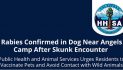 Rabies Confirmed in Dog Near Angels Camp After Skunk Encounter