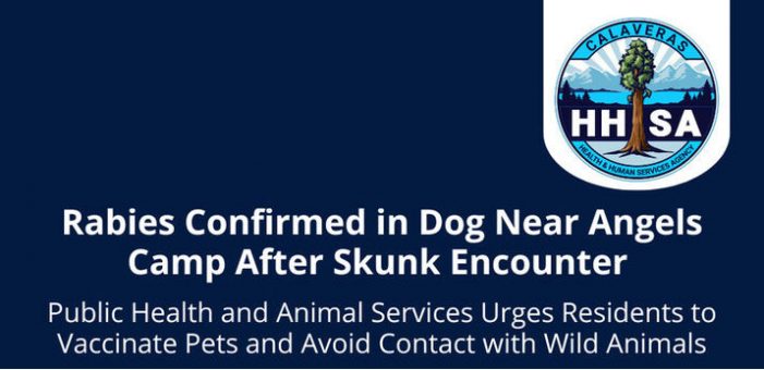 Rabies Confirmed in Dog Near Angels Camp After Skunk Encounter