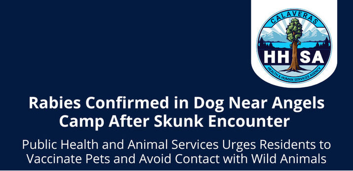 Rabies Confirmed in Dog Near Angels Camp After Skunk Encounter – The ...