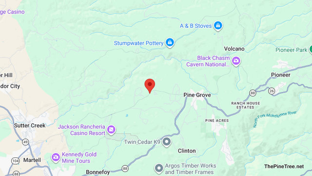 Traffic Update….Vehicle vs Deer Collision Near Ridge Rd / Arden Ct.  Deer Partially in Roadway with Blanket on Head
