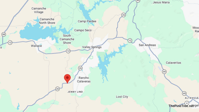 Traffic Update….Goats on the Loose Near Sr26 / Rosalie Dr
