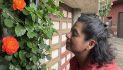 Sandra Carrillo 1974 – 2026, Celebration of Life on July 18th