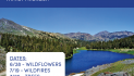 Summer is in Full Swing in Bear Valley and Bear Valley Adventure Company
