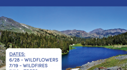 Summer is in Full Swing in Bear Valley and Bear Valley Adventure Company