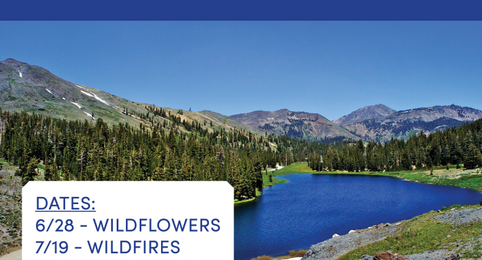 Summer is in Full Swing in Bear Valley and Bear Valley Adventure Company