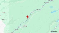 Traffic Update….Vehicle vs Bear Collision Near Hwy 4 & Beatrice Dr